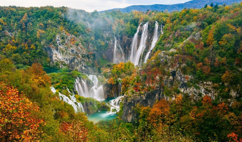 beautiful waterfalls and trees