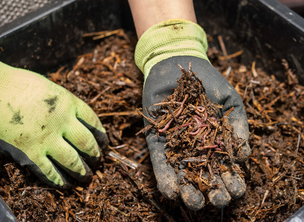 Person holding compost in their hand
