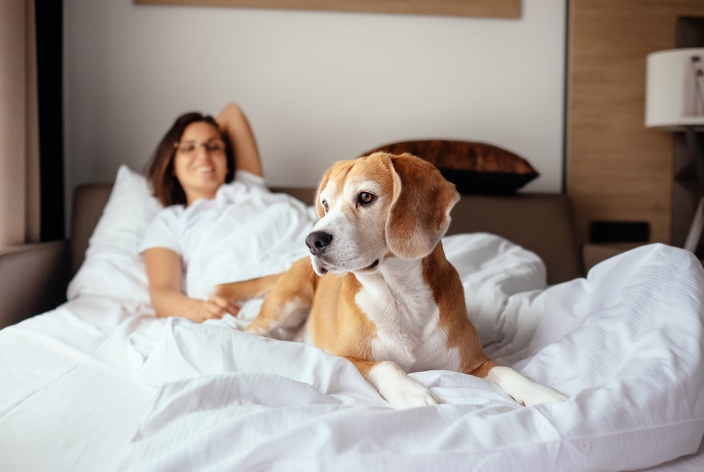 a woman and a dog on top of a bed