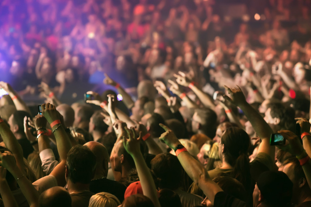 people attending a concert