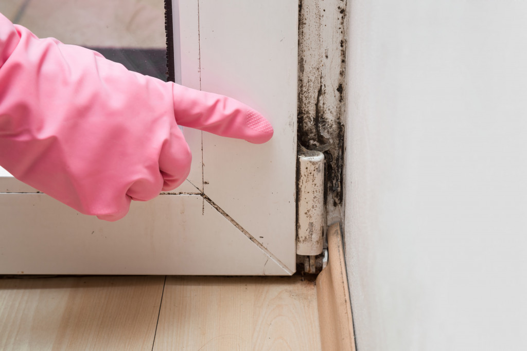 A hand wearing pink rubber glove pointing to mold growth on the corner of a door